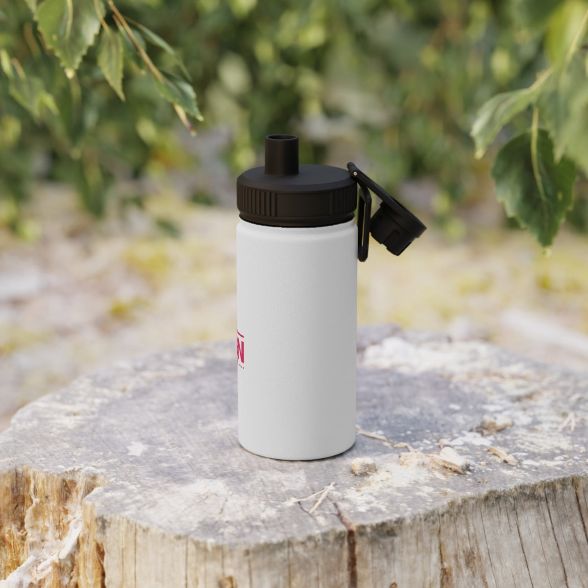 Durable Stainless Steel Water Bottle, Personalized Hydration, Eco-Friendly Travel Mug, Ideal Gym Gear, Customized Drinkware