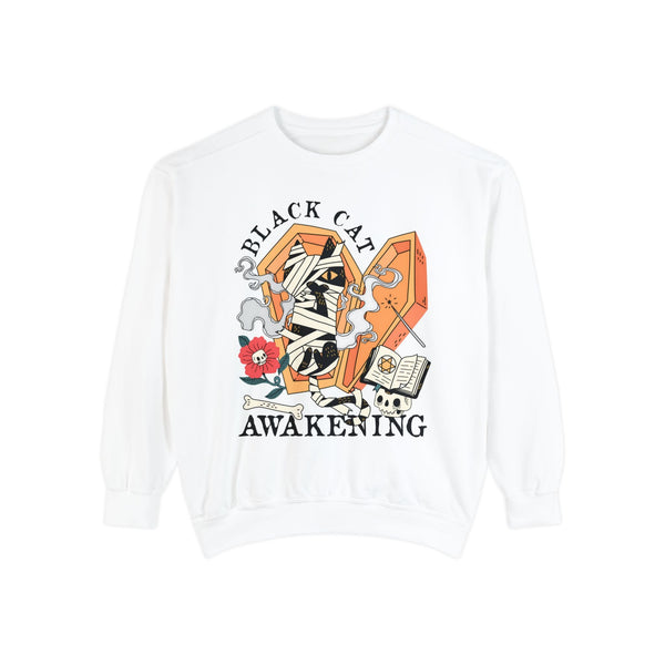 Mummy Cat Halloween Sweatshirt - Coffin & Wrapped Feline Graphic Sweater