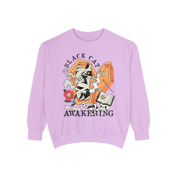 Mummy Cat Halloween Sweatshirt - Coffin & Wrapped Feline Graphic Sweater