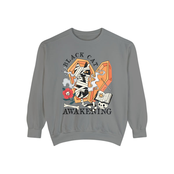 Mummy Cat Halloween Sweatshirt - Coffin & Wrapped Feline Graphic Sweater