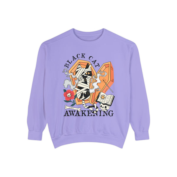 Mummy Cat Halloween Sweatshirt - Coffin & Wrapped Feline Graphic Sweater